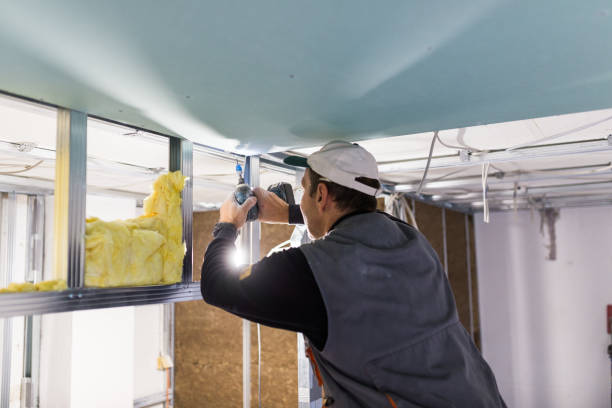 Best Home Insulation Services  in Clyde, NY