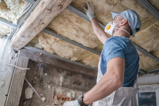 Best Insulation Contractors for Homes  in Clyde, NY