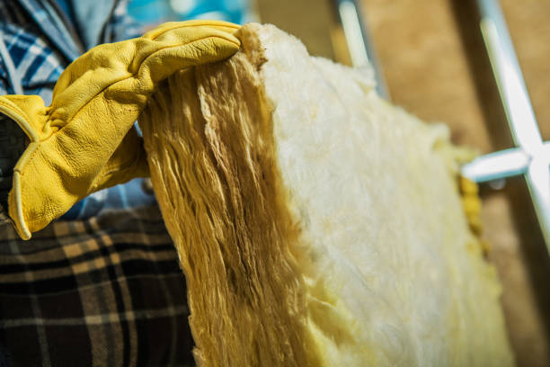 Best Cellulose Insulation  in Clyde, NY