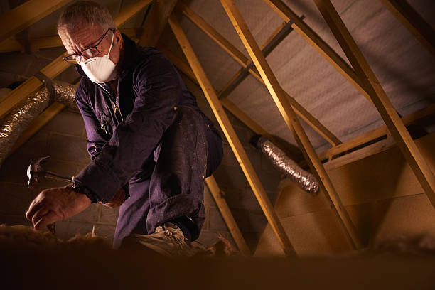 Best Attic Insulation Installation  in Clyde, NY