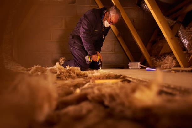 Best Crawl Space Insulation  in Clyde, NY
